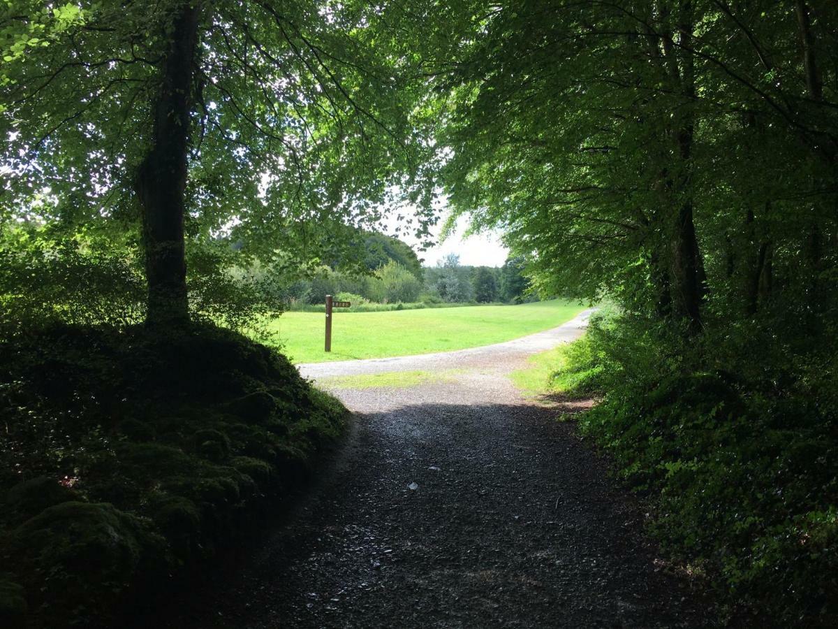 Curraghchase Cottage Kilcornan Luaran gambar