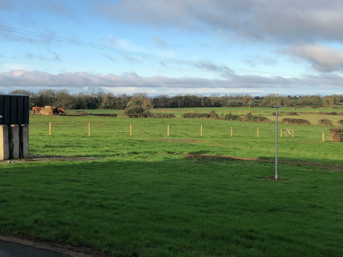 Curraghchase Cottage Kilcornan Luaran gambar